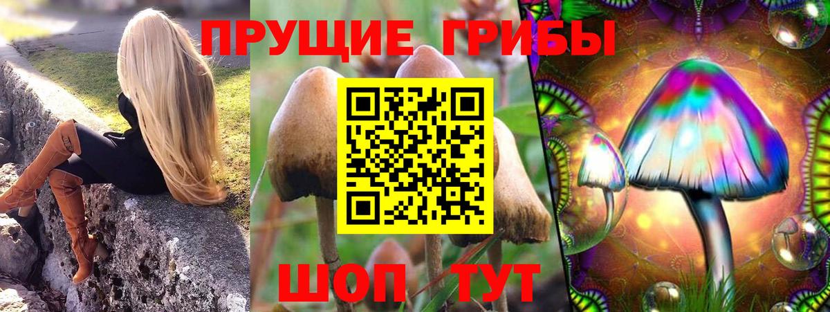 Урай  Псилоцибиновые грибы GOLDEN TEACHER  Вход с VPN 